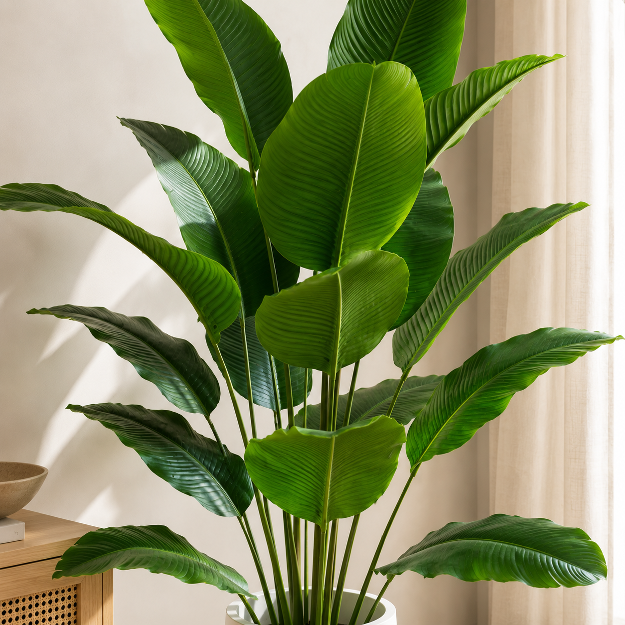 Plante artificielle - Strelitzia 150 cm