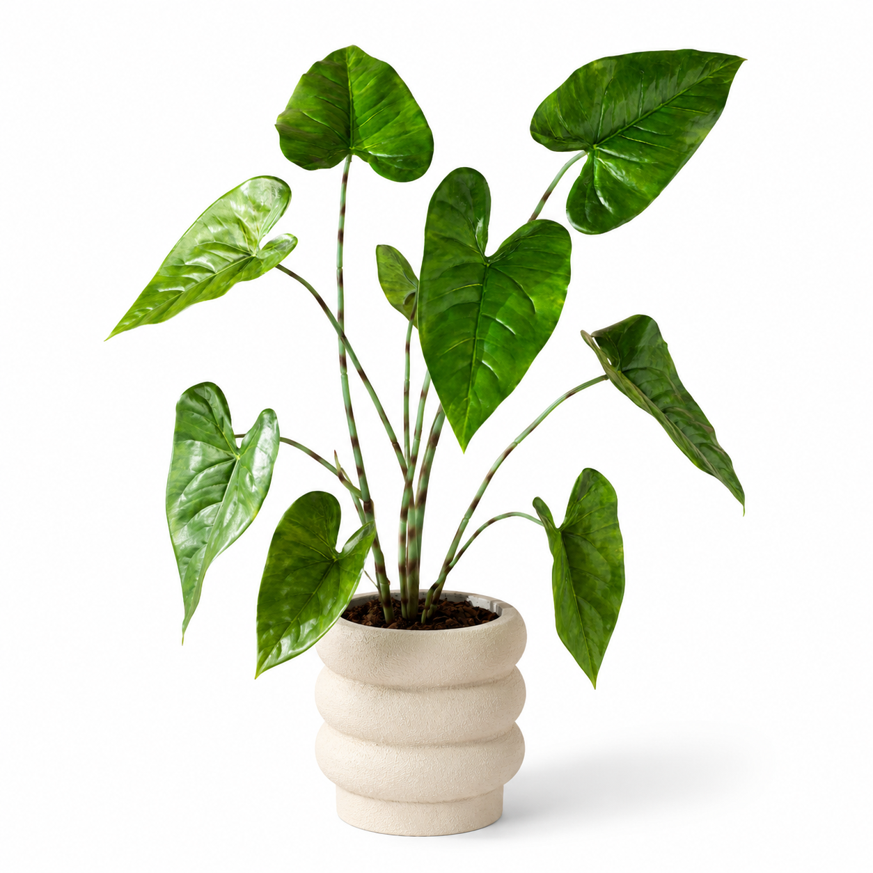Plante artificielle - Alocasia zebrina 75 cm