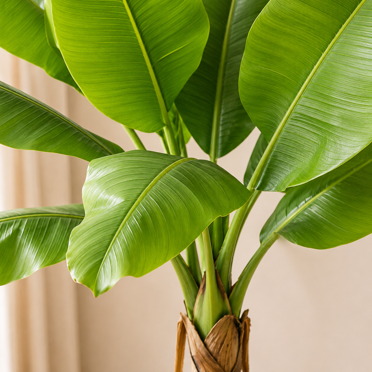 Plante artificielle - Bananier 130cm