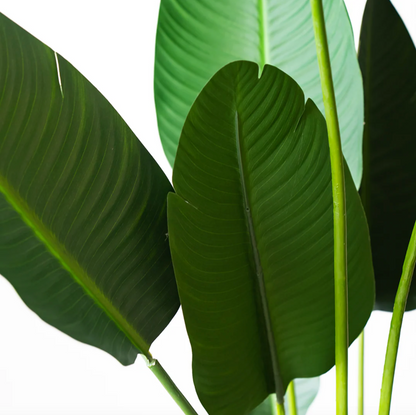 Plante artificielle - Strelitzia 80 cm