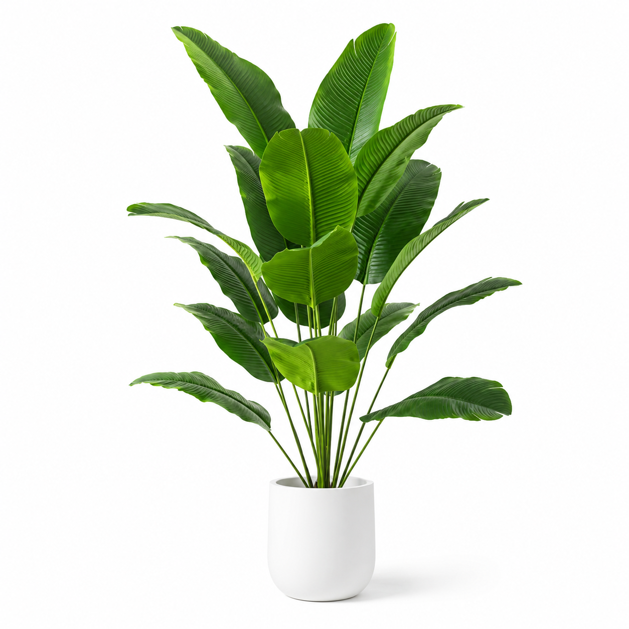 Plante artificielle - Strelitzia 150 cm