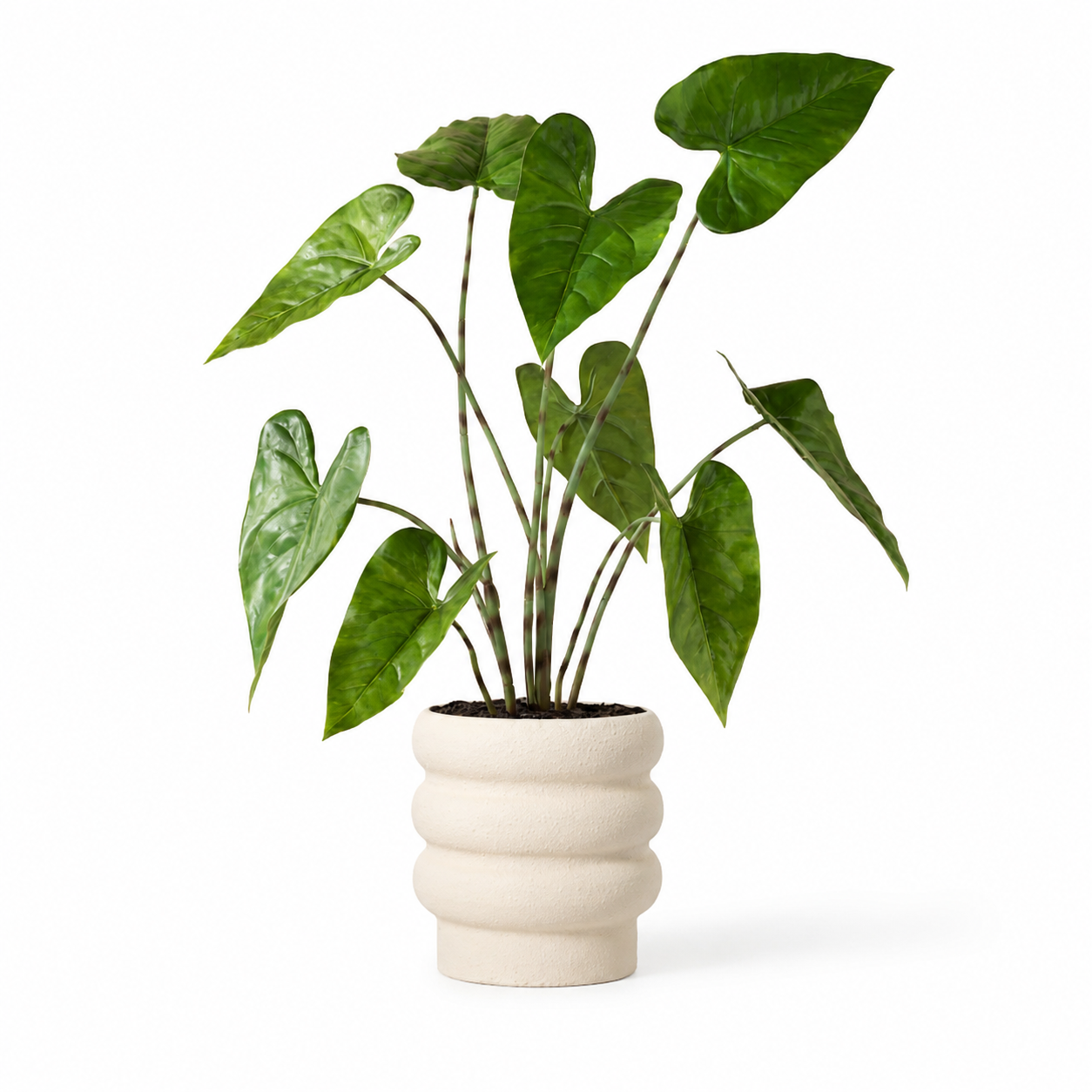 Plante artificielle - Alocasia zebrina 75 cm