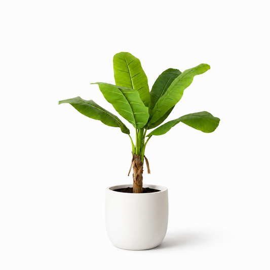 Plante artificielle - Bananier 100cm