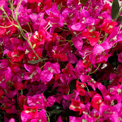 Plante artificielle - Bougainvillier rose 150 cm