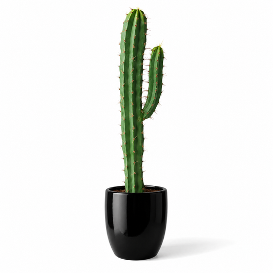 Plante artificielle - Cactus 80cm