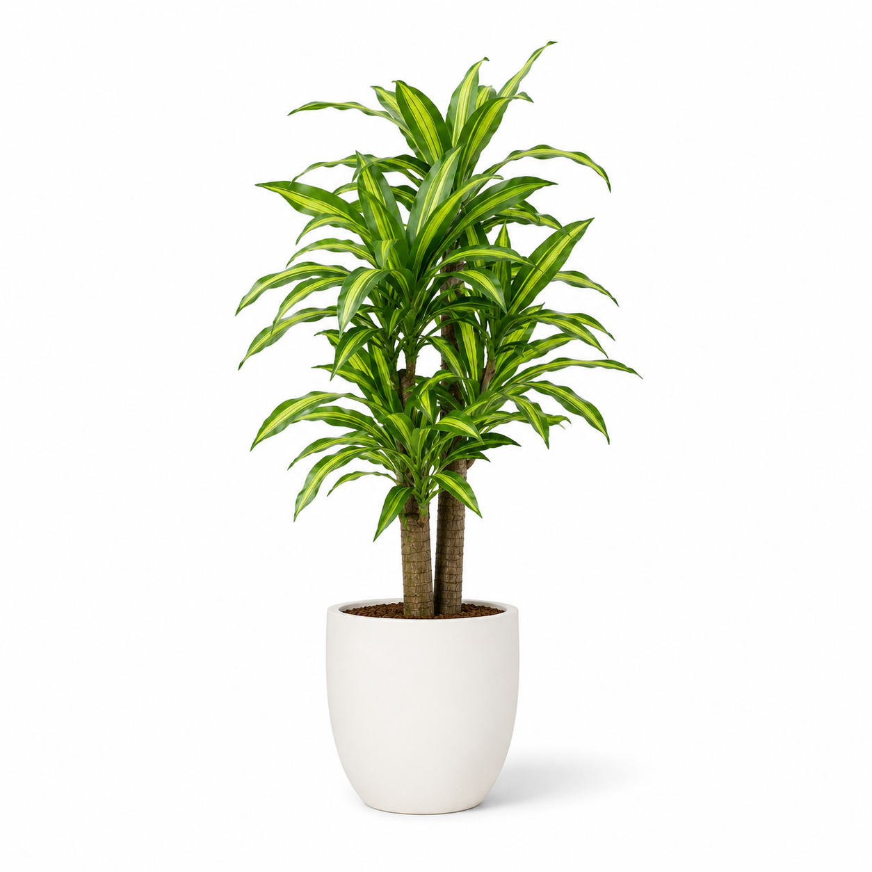 Plante artificielle - Dracaena 120cm