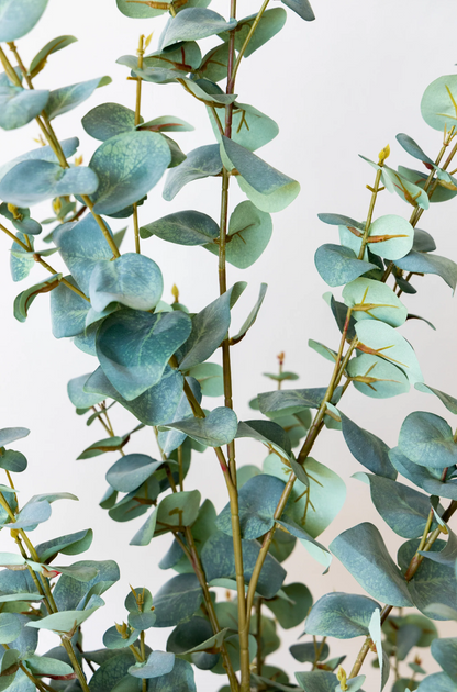 Arbre artificiel - Eucalyptus - 150cm