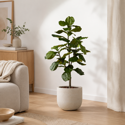 Plante artificielle - Ficus lyrata 120cm