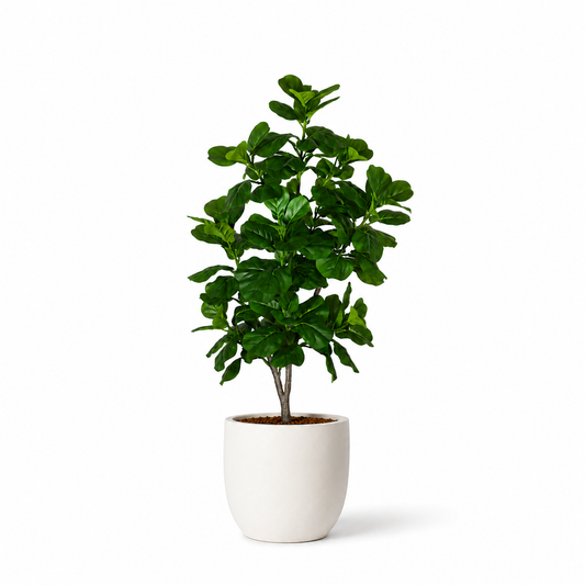 Plante artificielle - Ficus lyrata 120cm