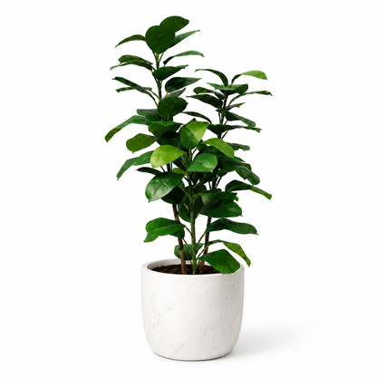 Plante artificielle - Ficus Elastica 120cm
