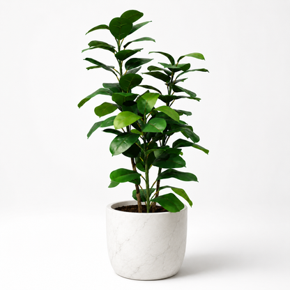 Plante artificielle - Ficus Elastica 120cm