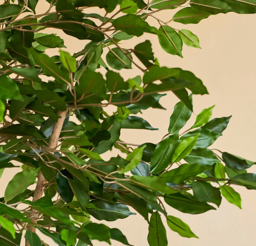 Plante artificielle - Ficus Green 90 cm