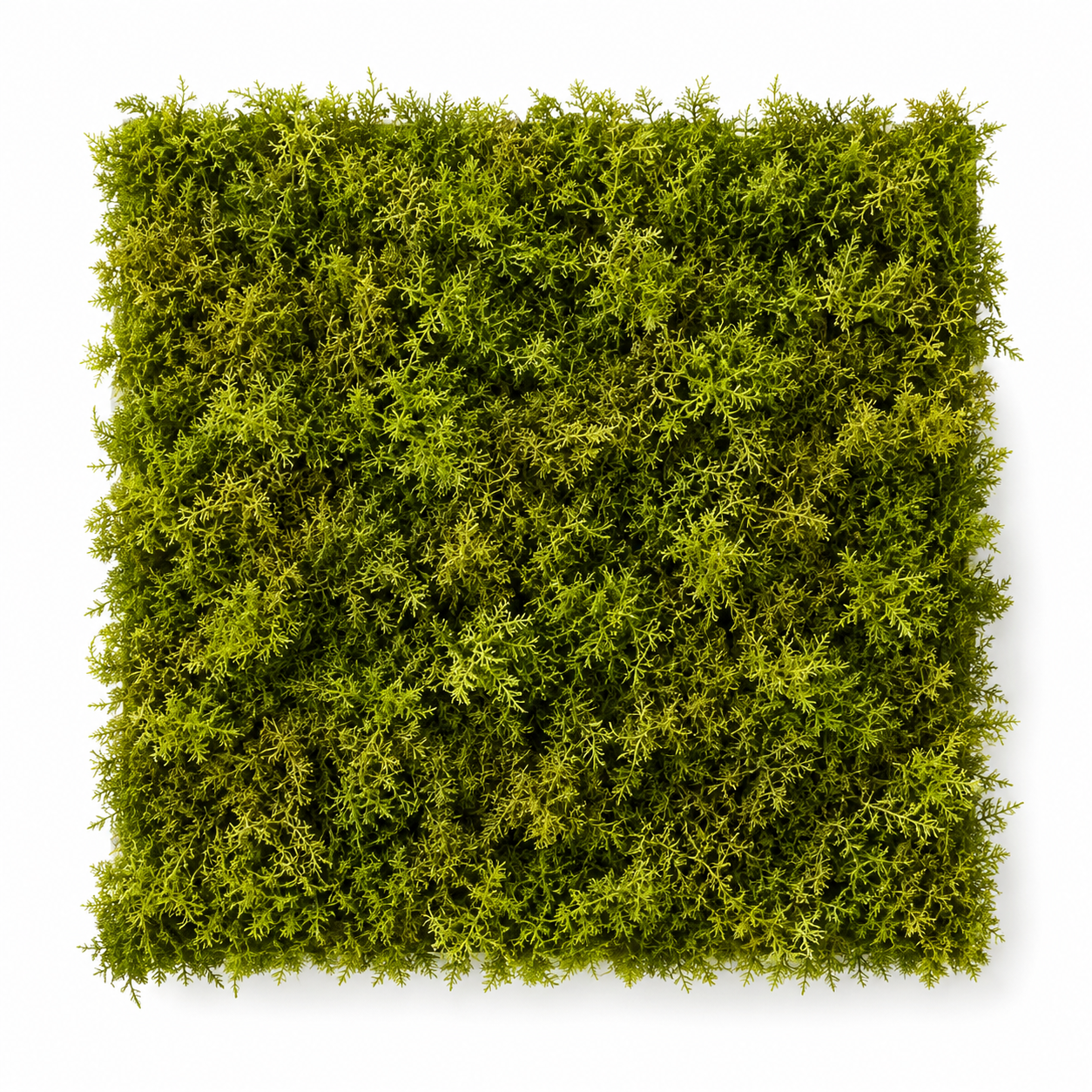 Mur végétal artificiel mousse 50x50 cm