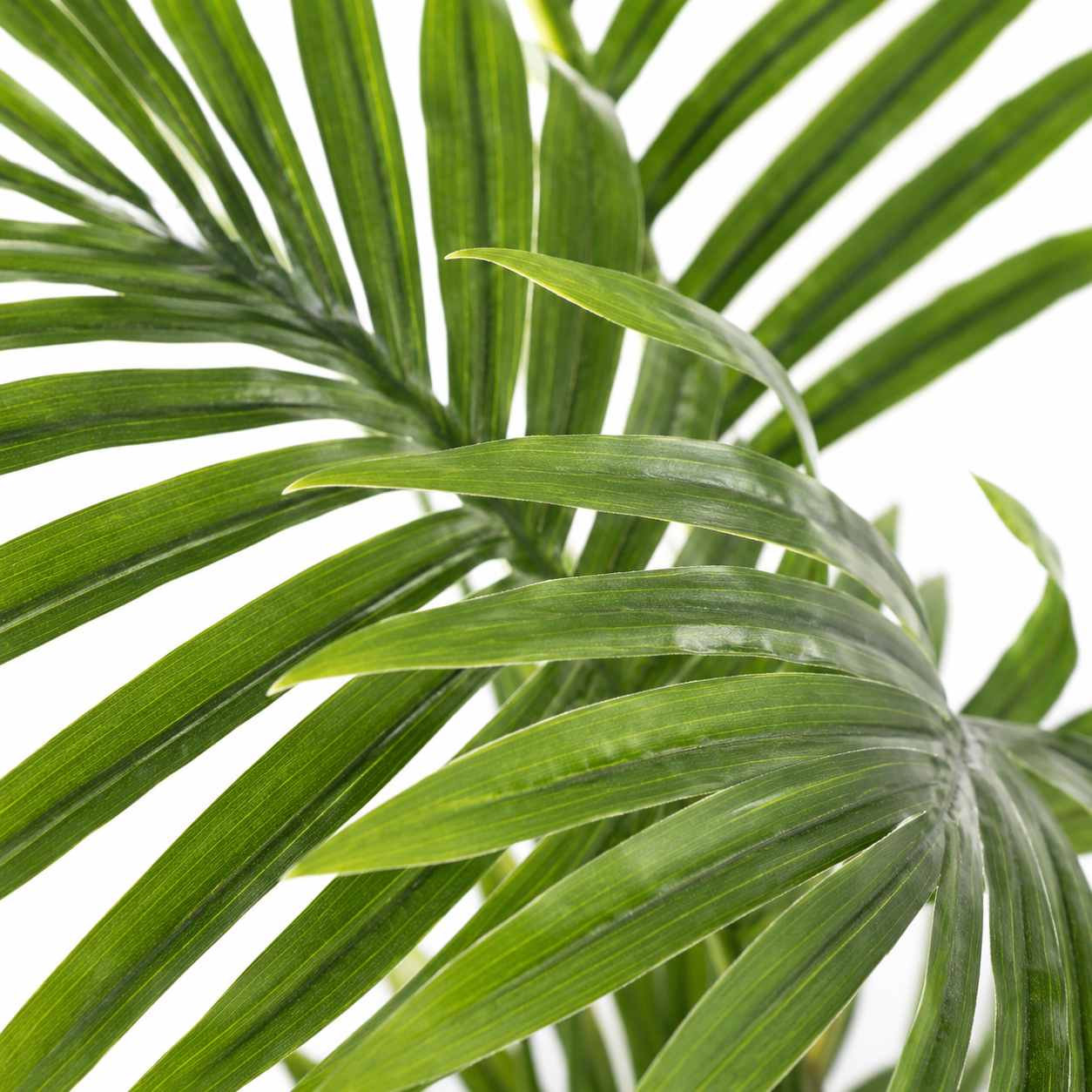Plante artificielle - Palmier Phoenix 86cm